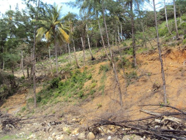 ขายที่ดินเนินเขาซีวิวนาคาเล หน้าติดถนนทางหลวง เนื้อที่ 19 ไร่ ขาย 17 ล้านต่อไร่