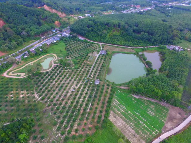 ขายที่ดินพังงาหน้าติดถนนเพชรเกษม(หล่อยูง)เนิ้อที่ 10.5 ไร่ขายเหมา 30 ล้าน