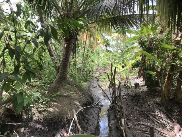 ขายที่ดินติดแม่น้ำแม่กลอง-อัมพวา ใกล้วัดท้ายหาด เนื้อที่ 2ไร่เศษ ขายเหมา10 ล้าน