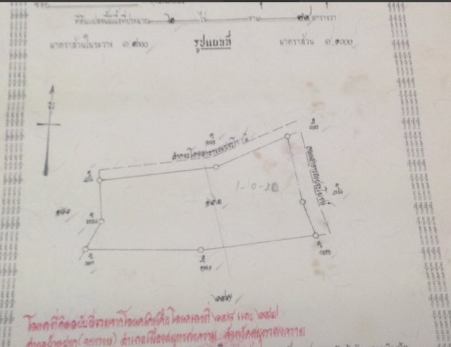 ขายที่ดินสวนมะพร้าวแม่กลอง สมุทรสงคราม เนื้อที่ 2ไร่ขาย 5 ล้านต่อไร่