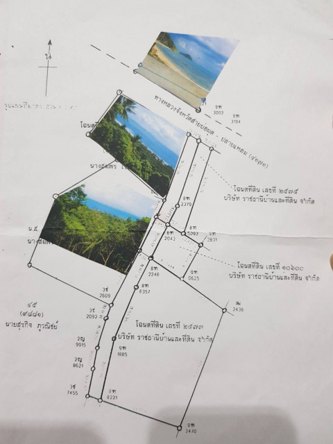 ขายที่ดินซีวิวเนินเขาและติดทะเลเกาะสมุย เนื้อที่ 13 ไร่ ขายเหมา 216 ล้าน