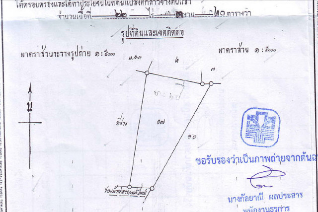 ขายที่ดินเมืองพังงาใกล้พังงาวิวพ้อยท์ห่างถนนเพชรเกษม2กม.เนื้อที่ 22ไร่ขาย 6 ล้าน