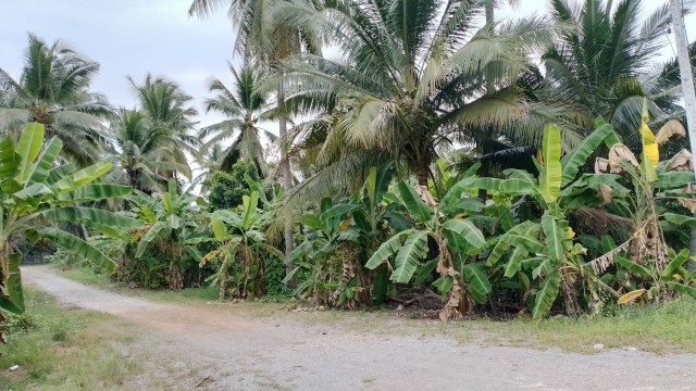 ขายที่ดินติดแม่น้ำแม่กลอง เมืองราชบุรี เนื้อที่ 2 ไร่ ขาย 6 ล้านต่อไร่