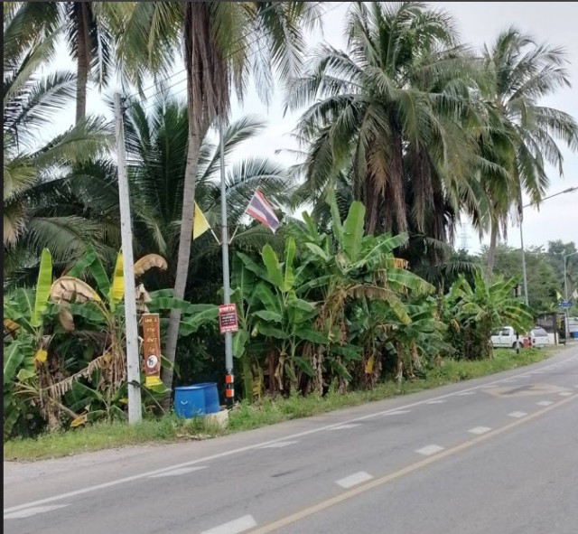 ขายที่ดินติดแม่น้ำแม่กลอง เมืองราชบุรี เนื้อที่ 2 ไร่ ขาย 6 ล้านต่อไร่