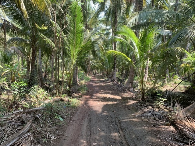 ขายที่ดินติดแม่น้ำแม่กลองเมืองสมุทรสงคราม เนื้อที่ 5 ไร่เศษ ขาย 10 ล้านต่อไร่