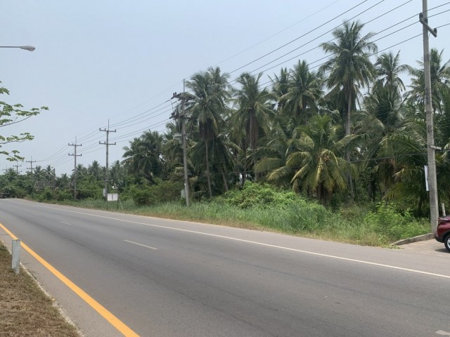 ขายที่ดินหน้าติดถนนทางหลวงสมุทรสงคราม-บางแพ  เนื้อที่ 2.5 ไร่ ขายเหมา 25 ล้าน