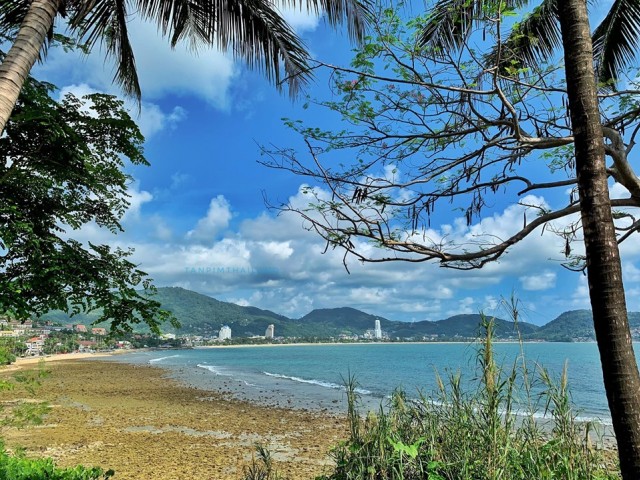 ขายที่ดินซีวิวป่าตองใกล้หาดกะหลิม ติดกับโรงแรม เนื้อที่ 14 ไร่ ขาย 60 ล้านต่อไร่