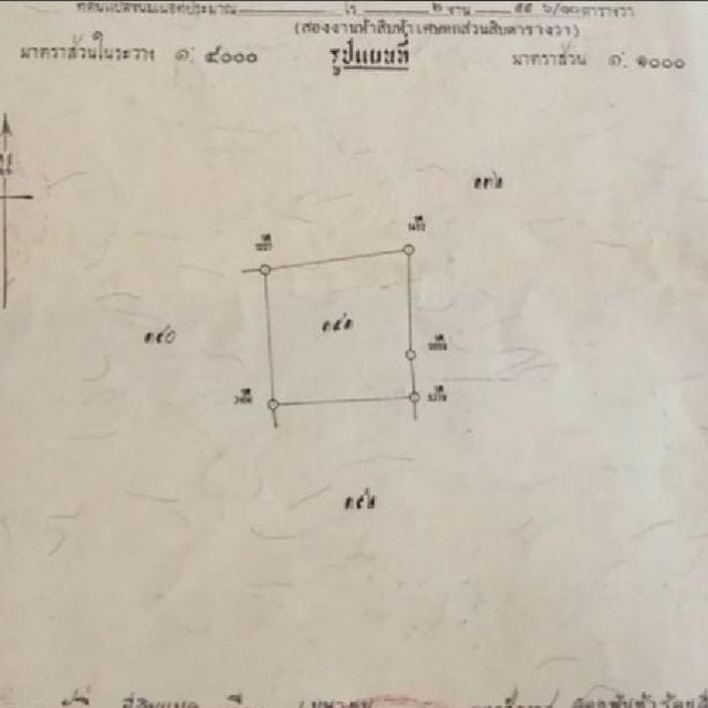 ขายที่ดินเมืองภูเก็ตบนเกาะสิเหร่ใกล้ทะเลครัวยิปซีเนื้อที่ 255.6ตร.วาขาย 3.5 ล้าน