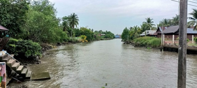 ขายที่ดินติดคลองบางน้อย บางคนที สมุทรสงคราม เนื้อที่ 13 ไร่เศษ ขาย 3 ล้านต่อไร่