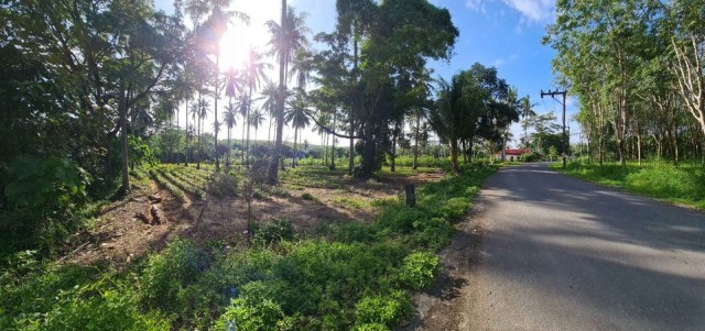 ขายที่ดินถลางใกล้หาดไม้ขาวห่างทะเล 500 ม.ภูเก็ตเนื้อที่ 46 ไร่ขาย 5.5 ล้านต่อไร่