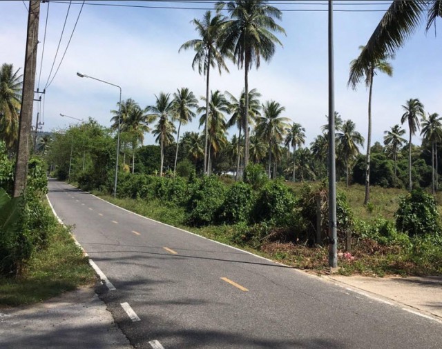 SALEขายที่ดินถลางใกล้หาดไม้ขาวห่างทะเล160 ม.ภูเก็ต เนื้อที่ 8 ไร่ขาย15ล้านต่อไร่