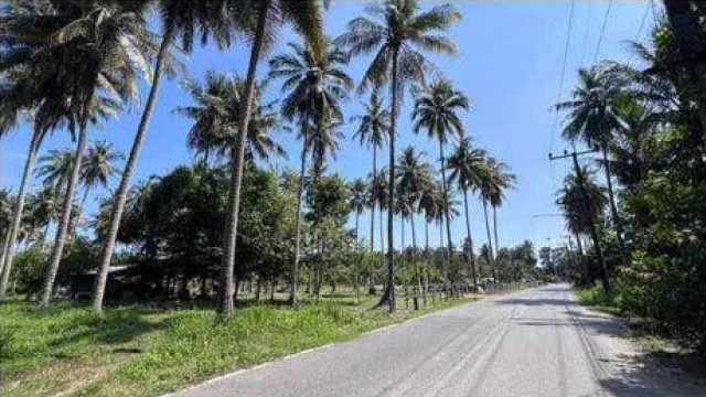 SALEขายที่ดินถลางในซอยท่าหลาใกล้ทะเลหาดท่าหลา เนื้อที่ 13 ไร่เศษขาย 5 ล้านต่อไร่