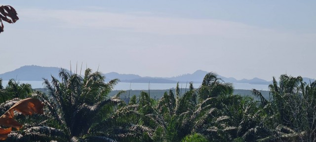 SALEขายที่ดิน sea view ป่าคลอก ใน Yamu hills เนื้อที่ 1 ไร่เศษ ขาย 10.9 ล้าน
