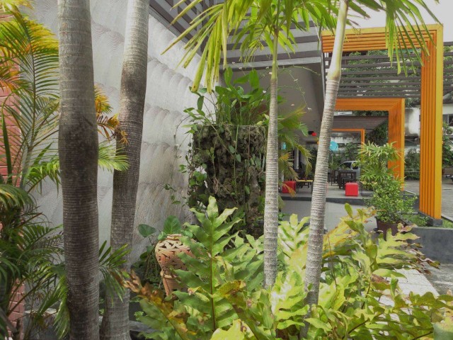 SALE ขายกิจการเมืองภูเก็ต ถนนหลวงพ่อ เนื้อที่ 370 ตร.วาจำนวน 66 ห้องขาย 125 ล้าน