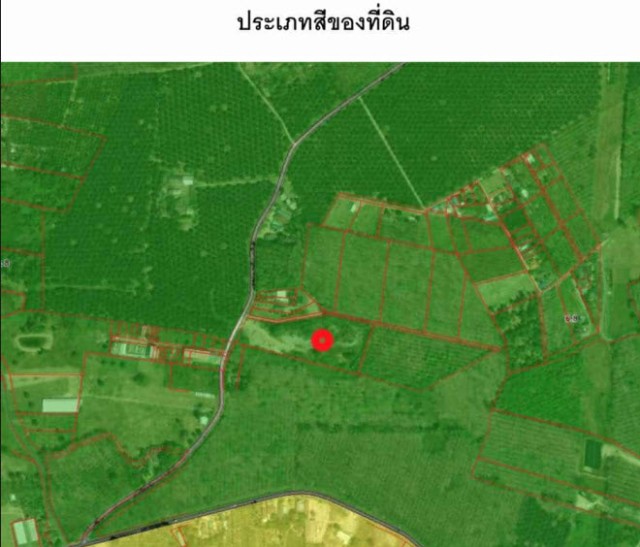 SALEขายที่ดินถลางใกล้ถนนเทพกระษัตรีย์-ในยาง เนื้อที่ 9 ไร่เศษ ขาย 6.5 ล้านต่อไร่