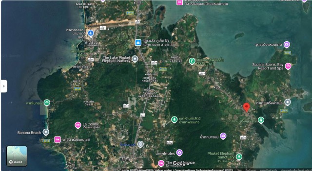 SALEขายที่ดินถลางหน้าติดถนนป่าคลอกกว้าง 100 เมตร เนื้อที่ 4 ไร่ ขาย 9 ล้านต่อไร่