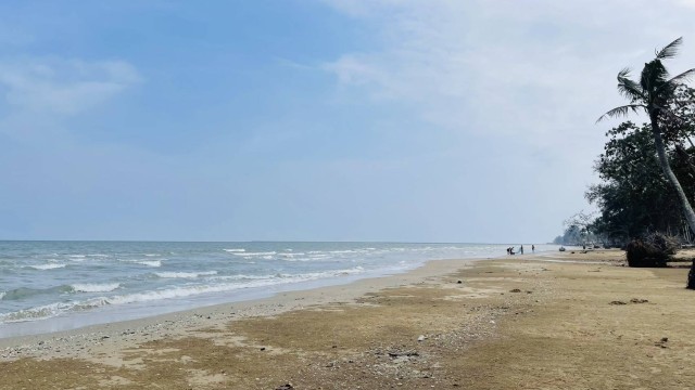 SALEขายที่ดินติดทะเลชุมพร และติดถนนทางหลวงชลบท เนื้อที่1ไร่เศษขาย 8.5 ล้าน