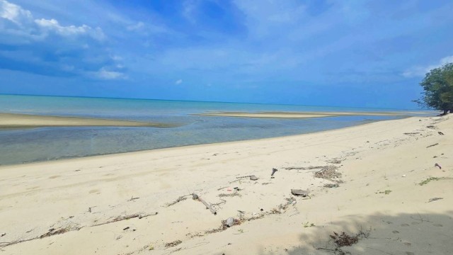 SALEขายที่ดินติดทะเลนิยม ไซยา สุราษฎร์ธานี เนื้อที่ 18 ไร่ ขายเหมา 63.9 ล้าน