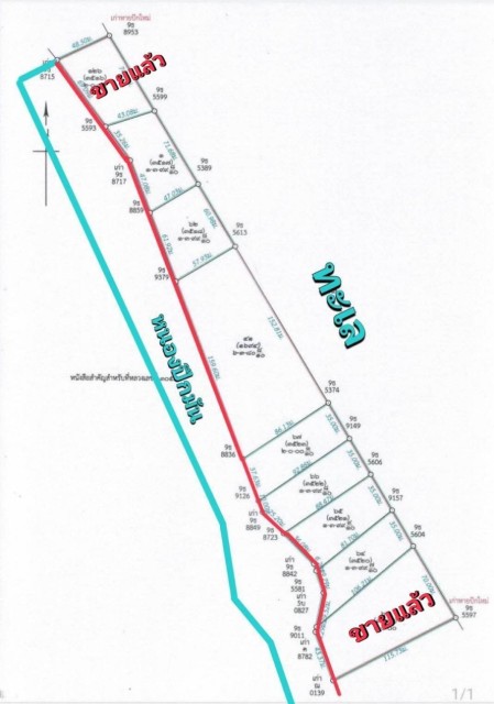 SALEขายที่ดินติดทะเลนิยม ไซยา สุราษฎร์ธานี เนื้อที่ 18 ไร่ ขายเหมา 63.9 ล้าน