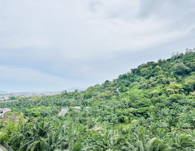 ขายคอนโดพนาสนธิ์เดอะกรีนเพลสใจกลางเมืองภูเก็ต ตึก F