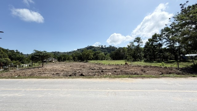 SALEขายที่ดินหน้าติดถนนบ้านตรอกม่วง ถลาง ภูเก็ตเนื้อที่ 2.5 ไร่ขาย 14 ล้านต่อไร่