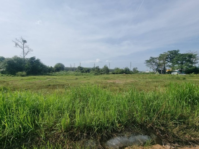 SALE ขายที่ดินเกาะแก้วใกล้รร.นานาชาติบริติช เนื้อที่ 1.5 ไร่ ขาย 14 ล้านต่อไร่