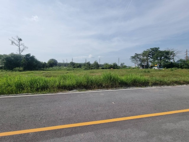 SALE ขายที่ดินเกาะแก้วใกล้รร.นานาชาติบริติช เนื้อที่ 1.5 ไร่ ขาย 14 ล้านต่อไร่