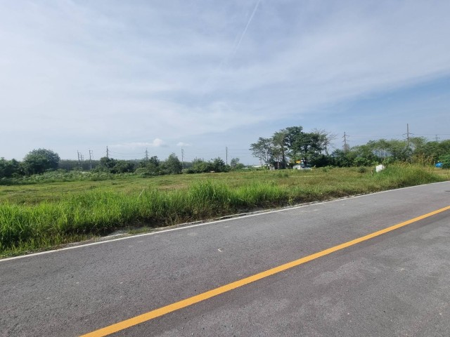 SALE ขายที่ดินเกาะแก้วใกล้รร.นานาชาติบริติช เนื้อที่ 1.5 ไร่ ขาย 14 ล้านต่อไร่