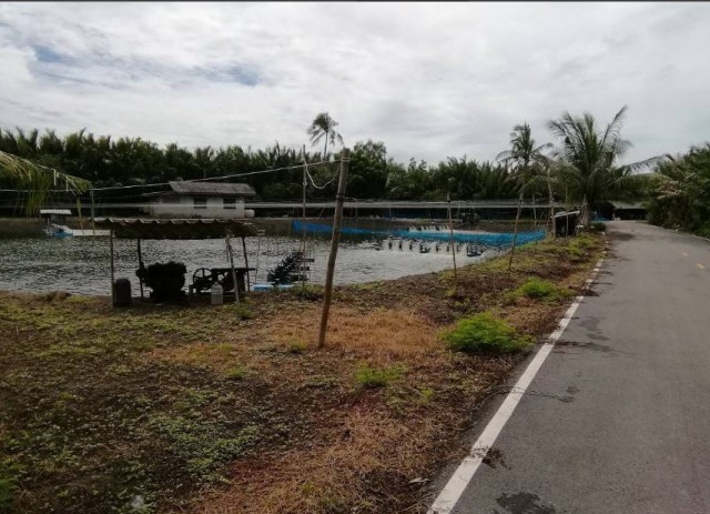 SALEขายที่ดินติดคลองเมืองสมุทรสงคราม ลาดใหญ่ เนื้อที่ 3 ไร่เศษ ขายเหมา 10 ล้าน