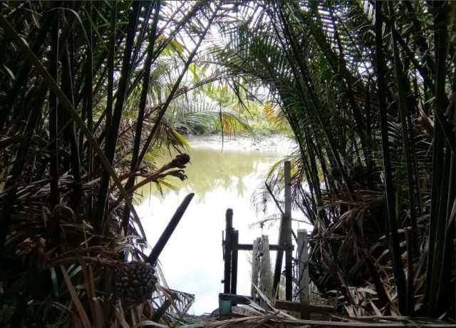 SALEขายที่ดินติดคลองเมืองสมุทรสงคราม ลาดใหญ่ เนื้อที่ 3 ไร่เศษ ขายเหมา 10 ล้าน