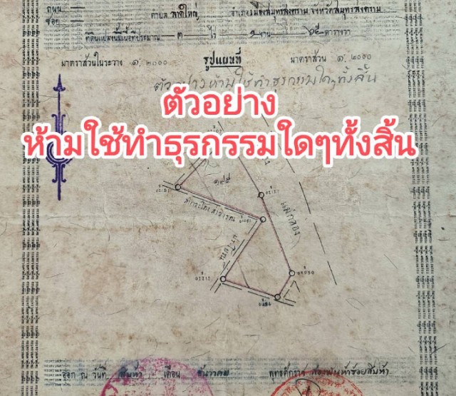 SALEขายที่ดินติดคลองเมืองสมุทรสงคราม ลาดใหญ่ เนื้อที่ 3 ไร่เศษ ขายเหมา 10 ล้าน