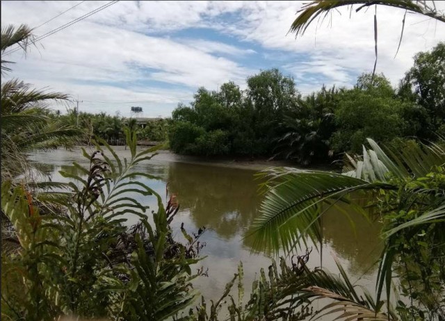 SALEขายที่ดินติดคลองเมืองสมุทรสงคราม ลาดใหญ่ เนื้อที่ 3 ไร่เศษ ขายเหมา 10 ล้าน