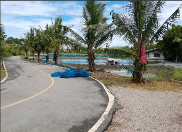 SALEขายที่ดินติดคลองเมืองสมุทรสงคราม ลาดใหญ่ เนื้อที่ 3 ไร่เศษ ขายเหมา 10 ล้าน