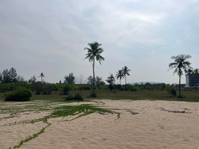 ขายที่ดินติดทะเลเขาหลัก พังงาเนื้อที่ 39 ไร่เศษ ขาย 19 ล้านต่อไร