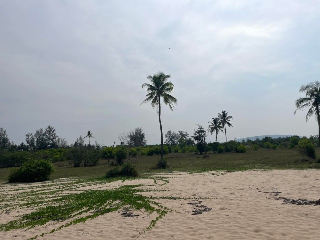 ขายที่ดินติดทะเลเขาหลัก พังงาเนื้อที่ 39 ไร่เศษ ขาย 19 ล้านต่อไร