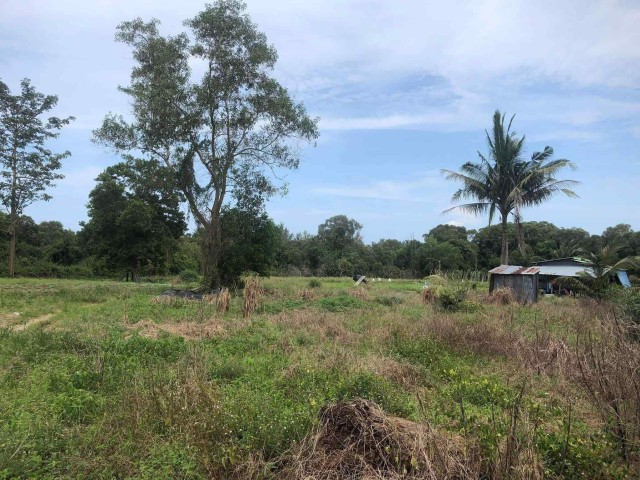 ขายที่ดินติดทะเลเขาหลัก พังงาเนื้อที่ 39 ไร่เศษ ขาย 19 ล้านต่อไร