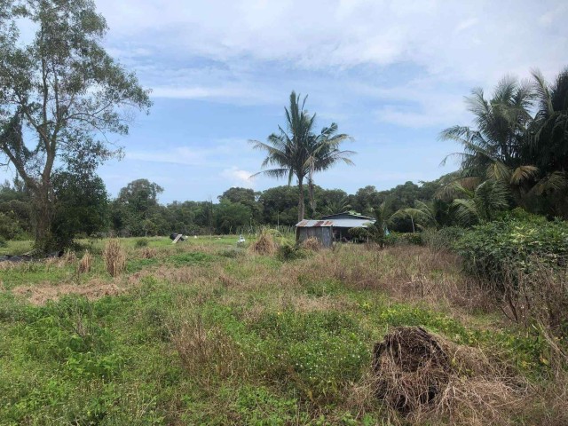 ขายที่ดินติดทะเลเขาหลัก พังงาเนื้อที่ 39 ไร่เศษ ขาย 19 ล้านต่อไร