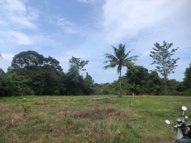 ขายที่ดินติดทะเลเขาหลัก พังงาเนื้อที่ 39 ไร่เศษ ขาย 19 ล้านต่อไร