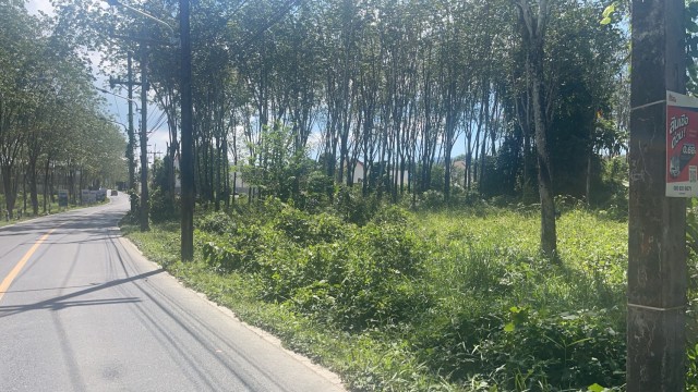 SALE ขายที่ดินบางโจ บ้านยา เนื้อที่ 8 ไร่เศษ ขาย 14.5 ล้านต่อไร่