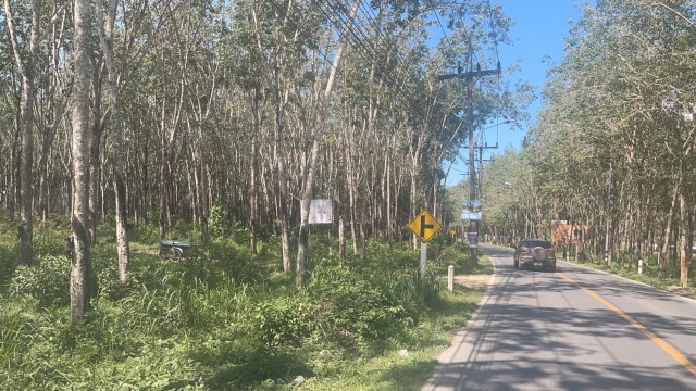 SALE ขายที่ดินบางโจ บ้านยา เนื้อที่ 8 ไร่เศษ ขาย 14.5 ล้านต่อไร่