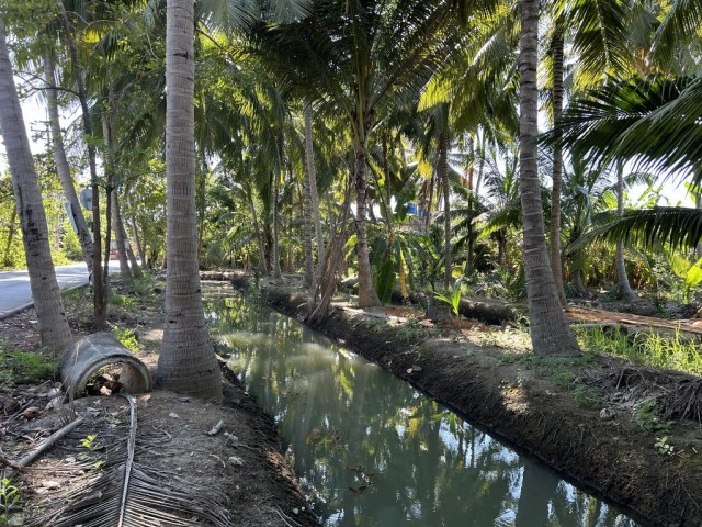 SALEขายที่ดินติดคลองใกล้แม่น้ำแม่กลอง-อัมพวา เนื้อที่ 1 ไร่เศษ ขายเหมา 4.5 ล้าน