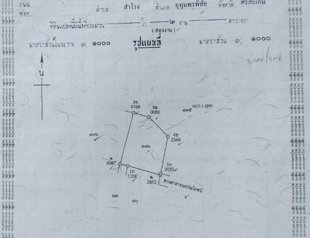 SALEขายที่ดินถลางพิกัด พิกัด ป่าครองชีพ ภูเก็ต เนื้อที่ 200 ตร.วา ขาย 2.7 ล้าน