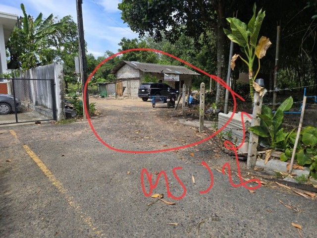 SALEขายที่ดินถลางพิกัด พิกัด ป่าครองชีพ ภูเก็ต เนื้อที่ 200 ตร.วา ขาย 2.7 ล้าน