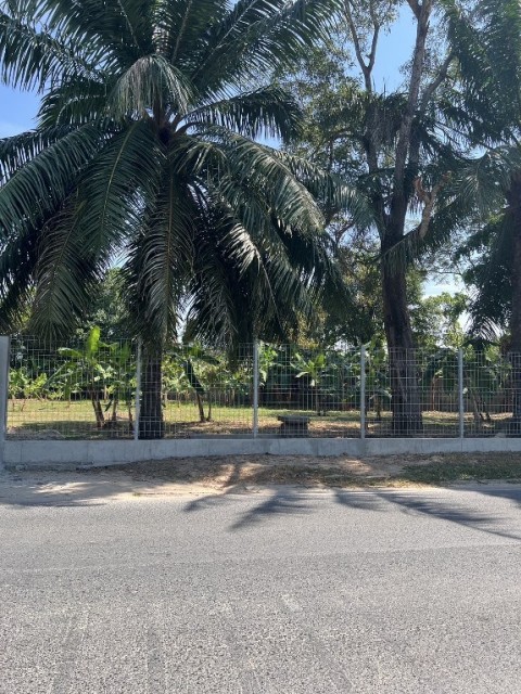 SALEขายที่ดินกะทู้หน้าติดถนนใกล้ Loch Palm Courtyard เนื้อที่ 1.5 ไร่ขาย 35 ล้าน