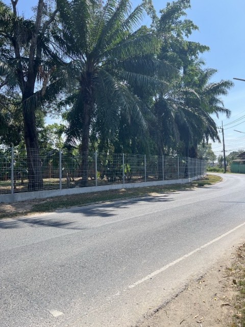 SALEขายที่ดินกะทู้หน้าติดถนนใกล้ Loch Palm Courtyard เนื้อที่ 1.5 ไร่ขาย 35 ล้าน