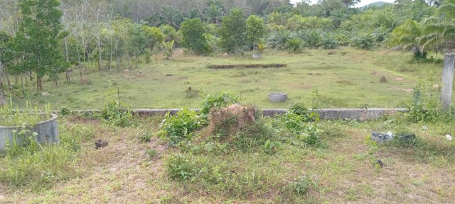 SALEขายที่ดินหล่อยูง ตะกั่วทุง พังงา ติดถนนทางหลวงเนื้อที่ 1 ไร่เศษ ขาย2.2ล้าน