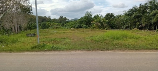 SALEขายที่ดินหล่อยูง ตะกั่วทุง พังงา ติดถนนทางหลวงเนื้อที่ 1 ไร่เศษ ขาย2.2ล้าน