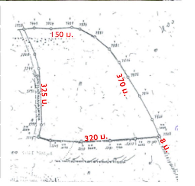 SALEขายที่ดินถลางใกล้ถนนป่าคลอก-ท่าเรือ-เมืองใหม่เนื้อที่ 49.5 ไร่ขาย205.12 ล้าน
