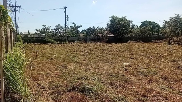 SALEขายที่ดิน พิกัด บางโจ ถลาง เนื้อที่ 1 ไร่ ขายเหมา 11.5 ล้าน