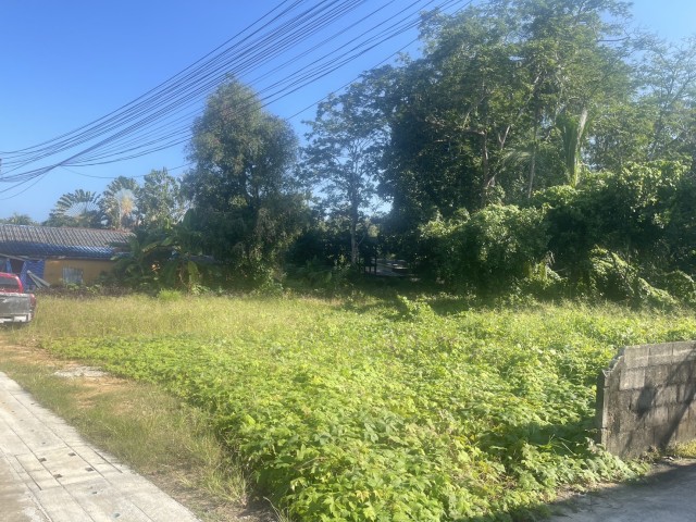 SALEขายที่ดิน พิกัด พรุจำปา ต.เทพกระษัตรี เนื้อที่ 3 ไร่เศษ ขาย 9 ล้านต่อไร่